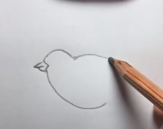 和平鸽简笔画的步骤