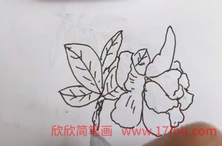 栀子花花简笔画步骤图