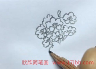 君子兰怎么画简笔画