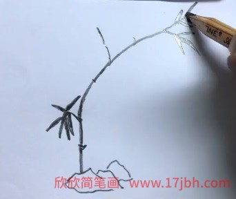 竹子简笔画黑白