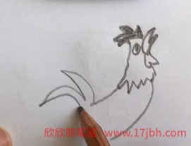 公鸡简笔画彩色