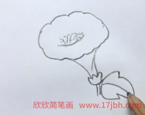 牵牛花藤蔓简笔画