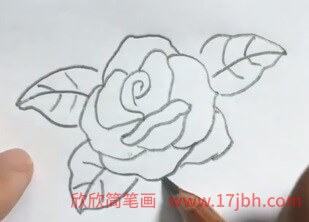 月季花简笔画彩色