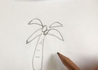 简笔画椰树