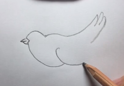 和平鸽简笔画的步骤