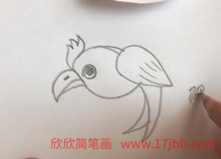 鹦鹉简笔画图片大全