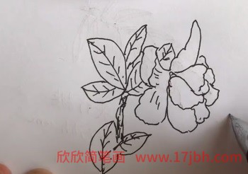 栀子花花简笔画步骤图