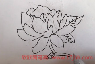 栀子花简笔画图片