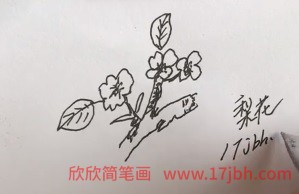 梨花简笔画步骤