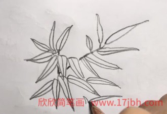 竹子图片简笔画彩色