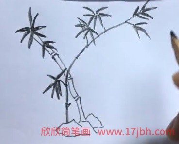竹子简笔画黑白