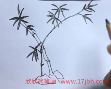 竹子简笔画黑白