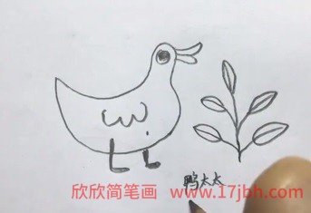 鸭太太简笔画