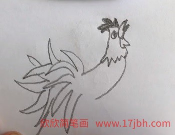 公鸡简笔画彩色