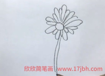 儿童菊花的画法简笔画