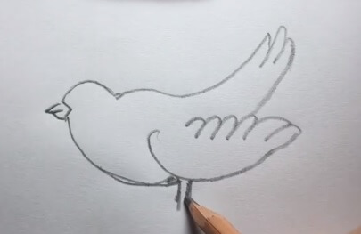 和平鸽简笔画的步骤