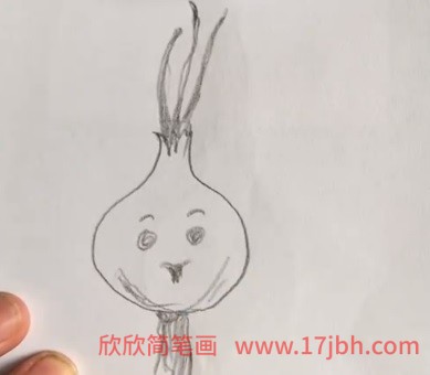 洋葱怎么画简笔画图片