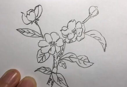 海棠花怎么画简笔画
