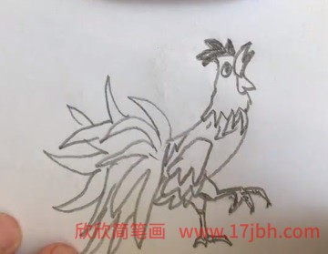 公鸡简笔画彩色