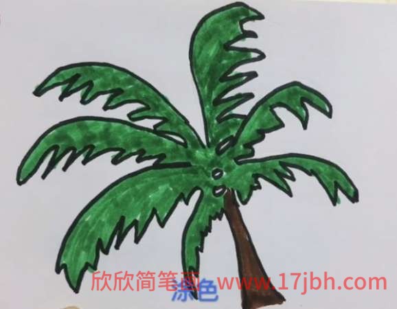 椰子树怎么画简笔画