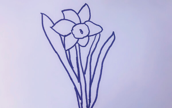 水仙花的简笔画怎么画