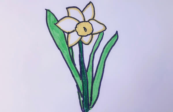 水仙花的简笔画怎么画