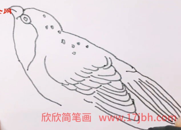 简单小鸟简笔画