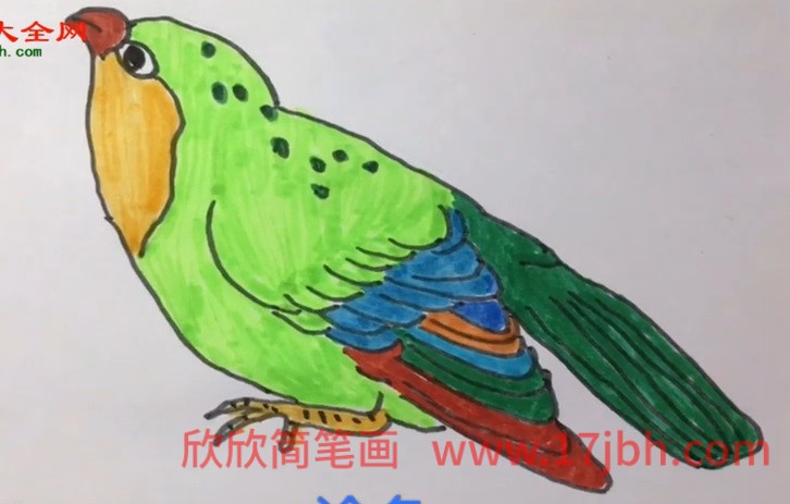 简单小鸟简笔画