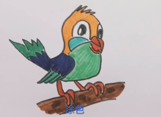 杜鹃鸟的儿童简笔画