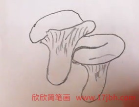 蘑菇图片简笔画彩色