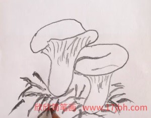 蘑菇图片简笔画彩色