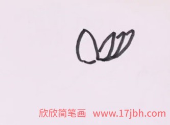 简笔画荷花的画法步骤图