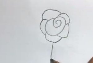 儿童月季花简笔画