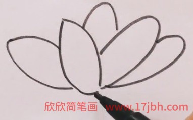 荷花怎么画简笔画