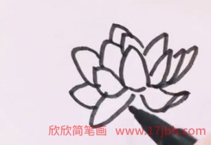 简笔画荷花的画法步骤图