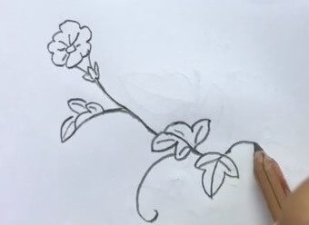 牵牛花简笔画彩色