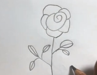 儿童月季花简笔画