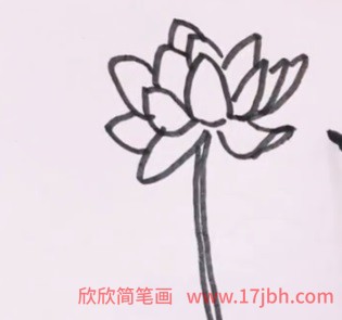 简笔画荷花的画法步骤图