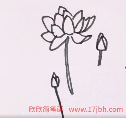 简笔画荷花的画法步骤图