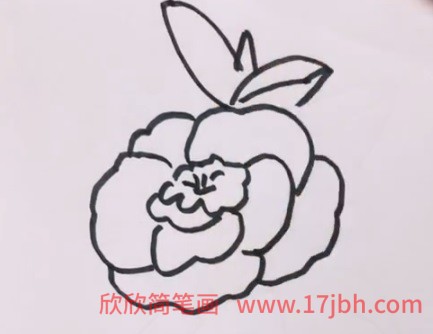 儿童玫瑰花的简笔画