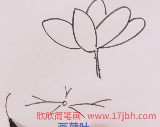 荷花怎么画简笔画