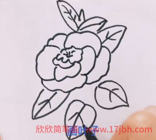 儿童玫瑰花的简笔画