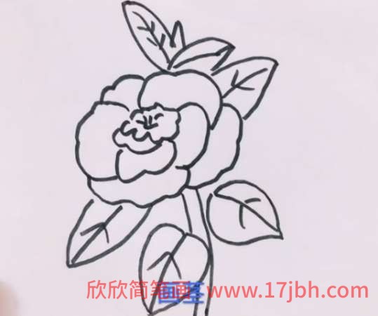 儿童玫瑰花的简笔画