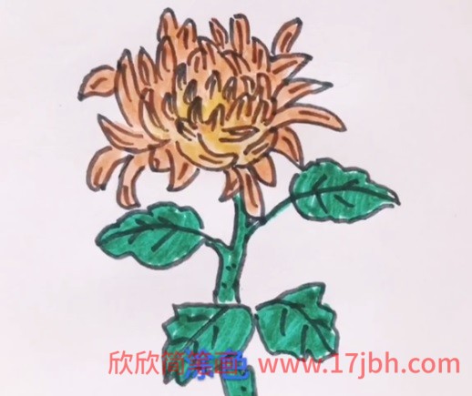 秋天的菊花简笔画