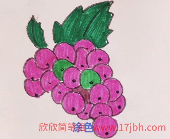 葡萄简笔画大全
