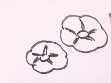 牵牛花图片简笔画
