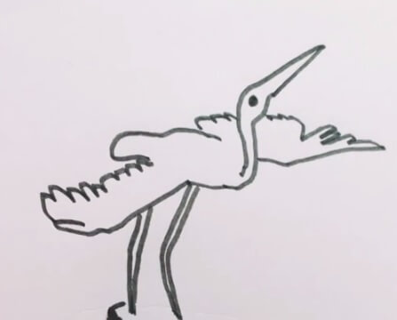 白鹭的简笔画
