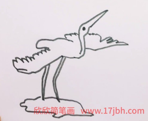 白鹭的简笔画