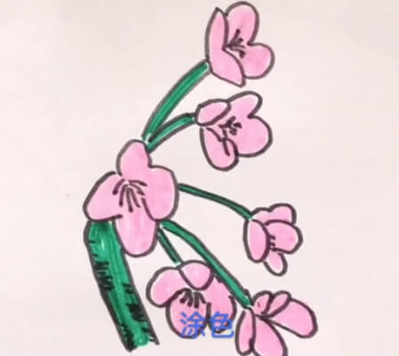 樱花怎么画简笔画