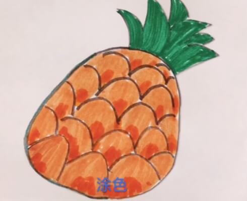 菠萝图片简笔画